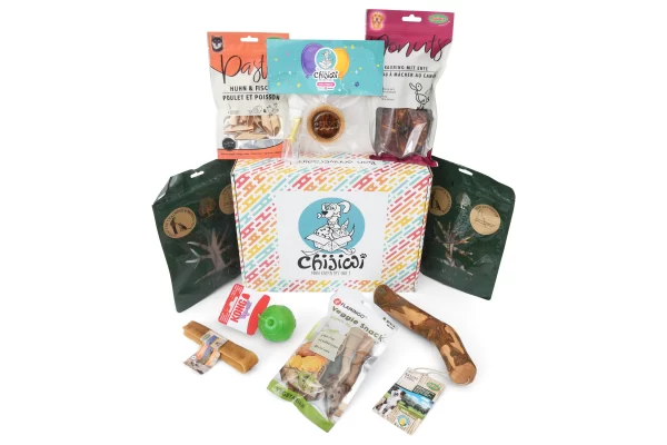 Boite anniversaire pour chien avec gâteau et cadeaux