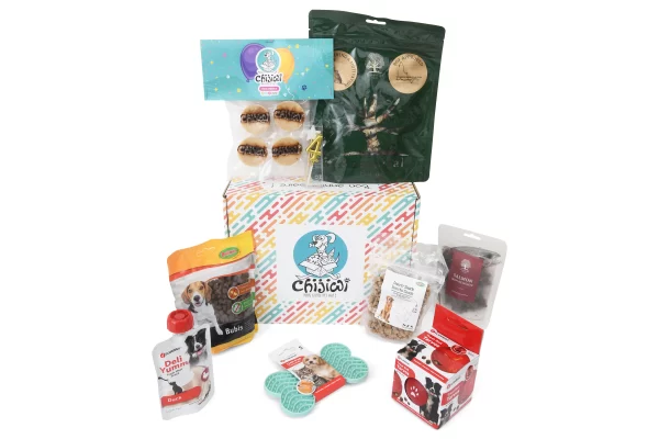 Boite anniversaire pour petits chiens avec un gâteau, une bougie et des cadeaux
