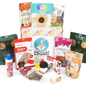 Boite anniversaire pour chien avec gâteau et cadeaux