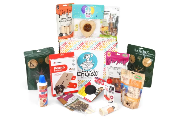 Boite anniversaire pour chien avec gâteau et cadeaux