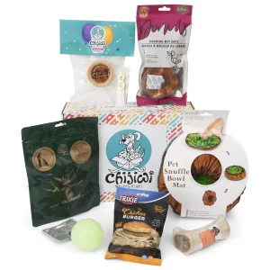 Boite anniversaire pour chiens avec gâteau et cadeaux.