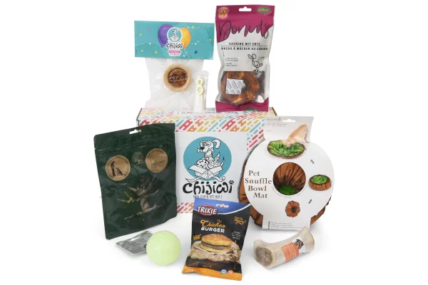 Boite anniversaire pour chiens avec gâteau et cadeaux.