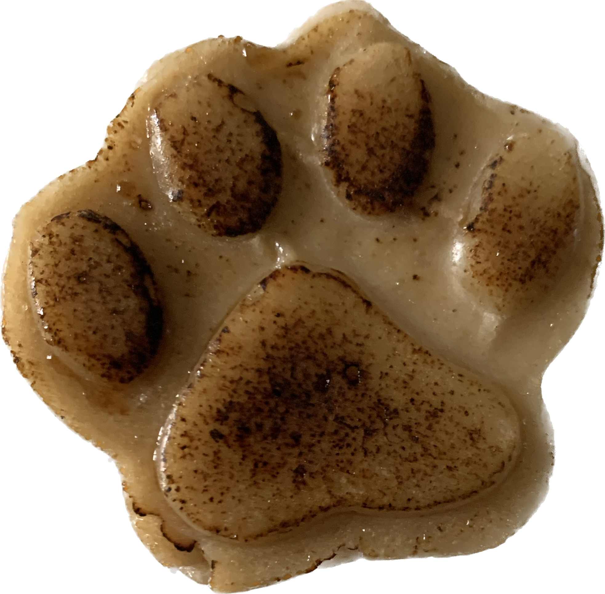 delicieux biscuit pour chiens en forme de pattes