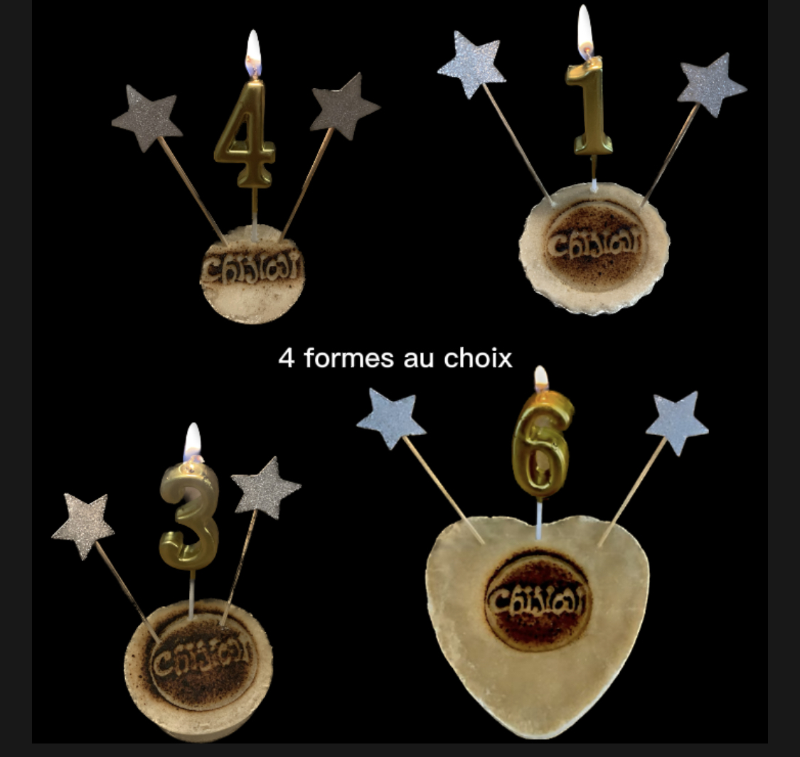 gateau anniversaire pour chien