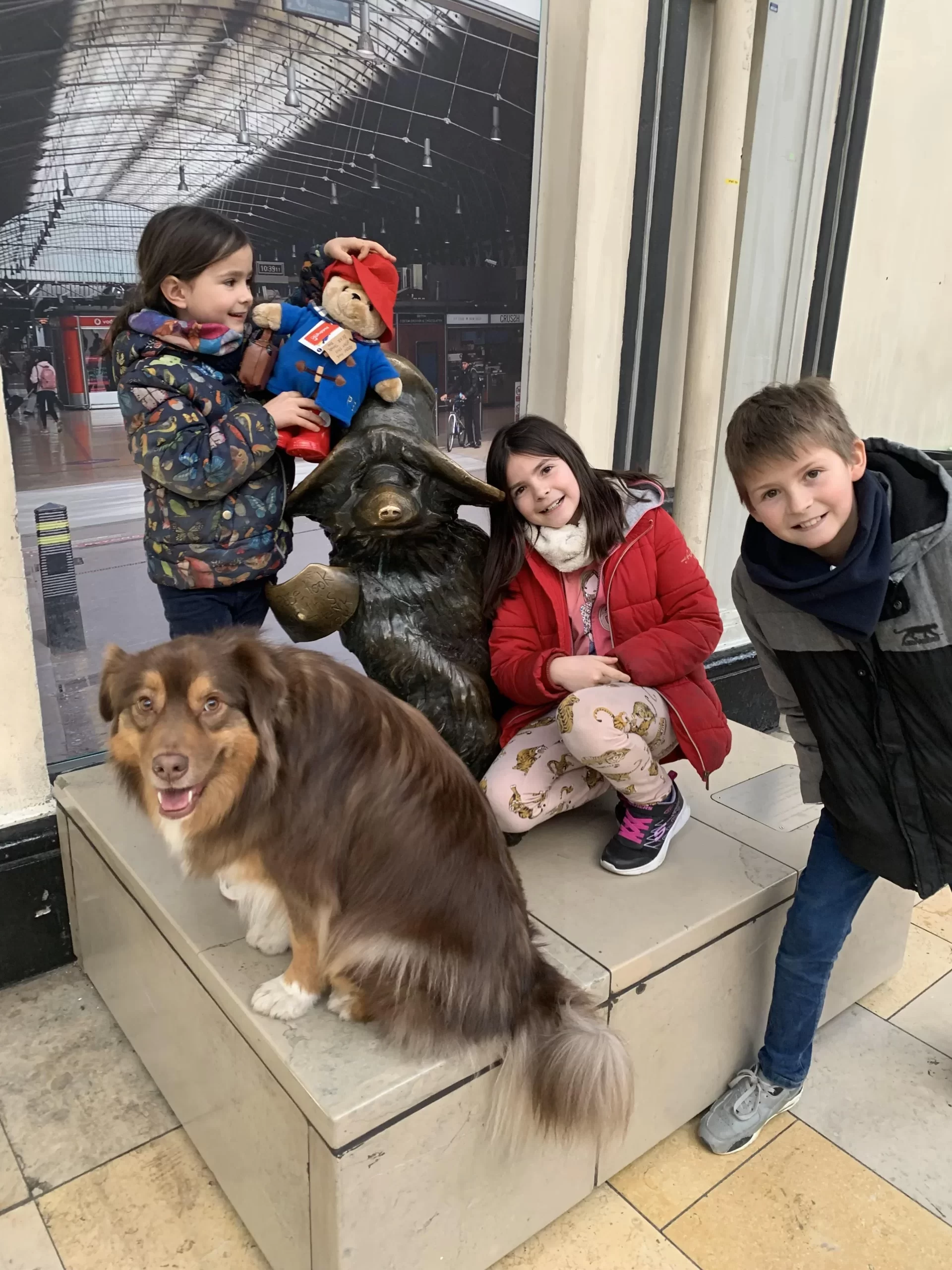 Notre chien et nos enfants avec Paddington
