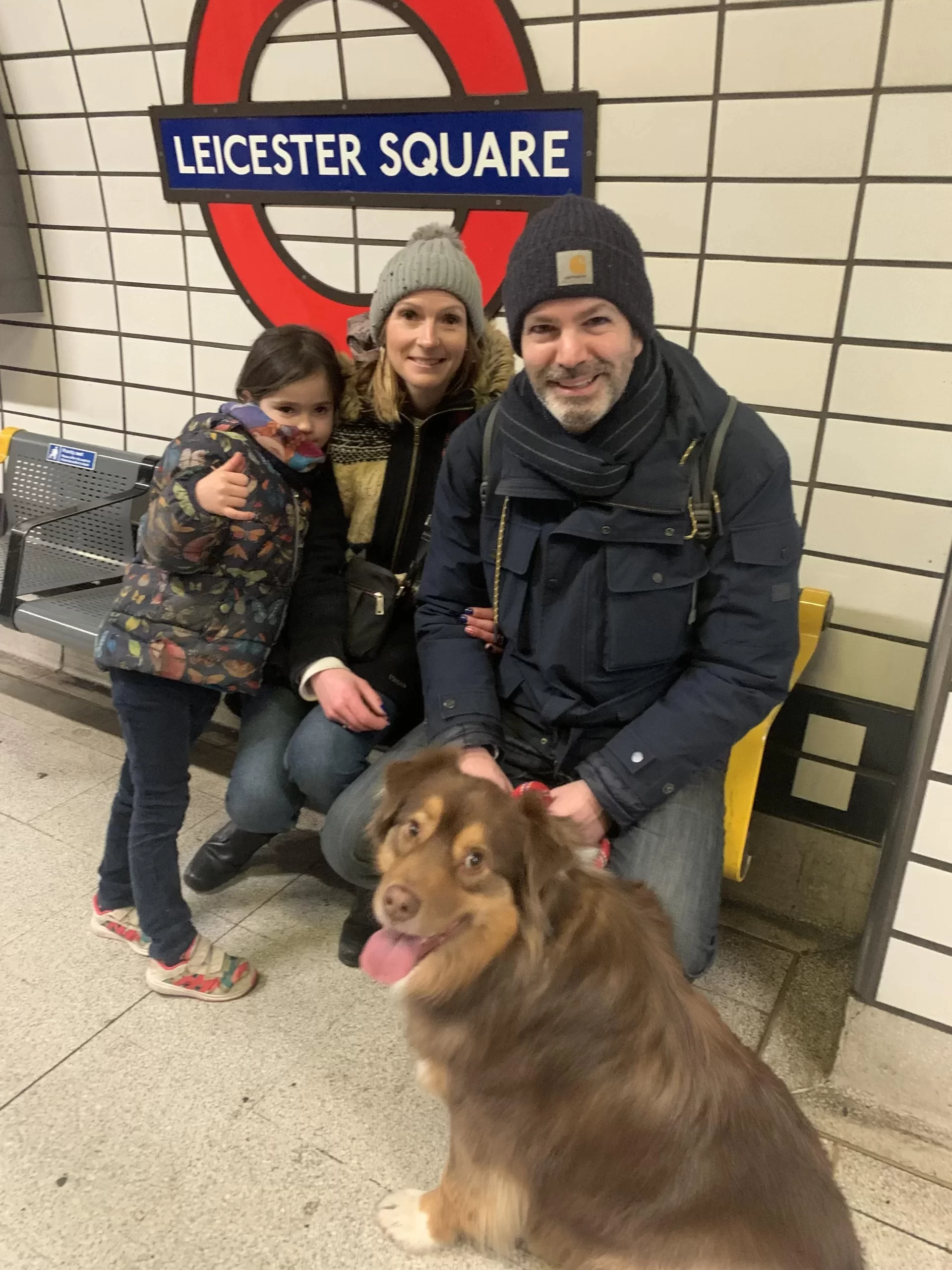 Dans le metro londonien avec notre chien