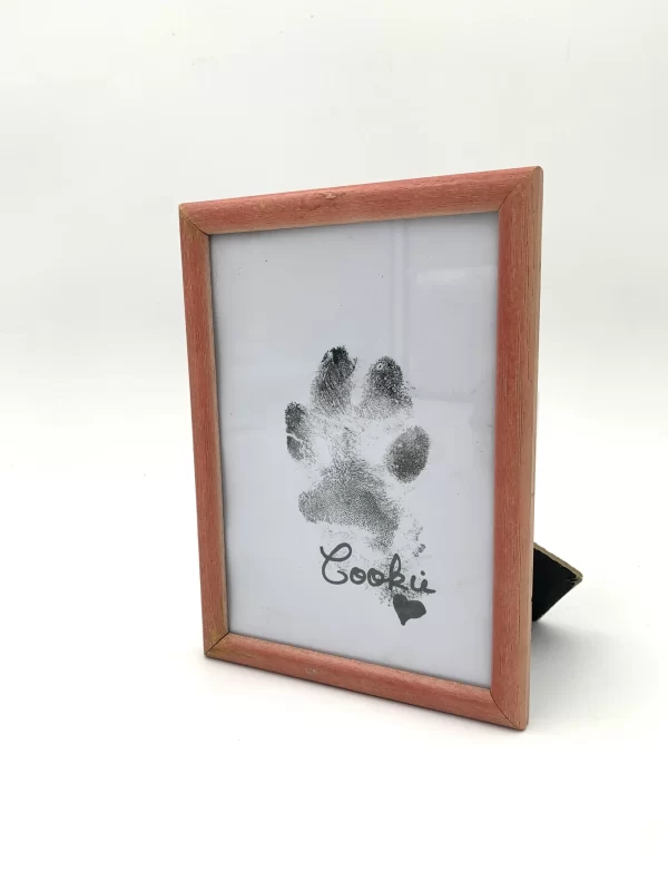 super idee cadeau pour garder les empreintes de son chien