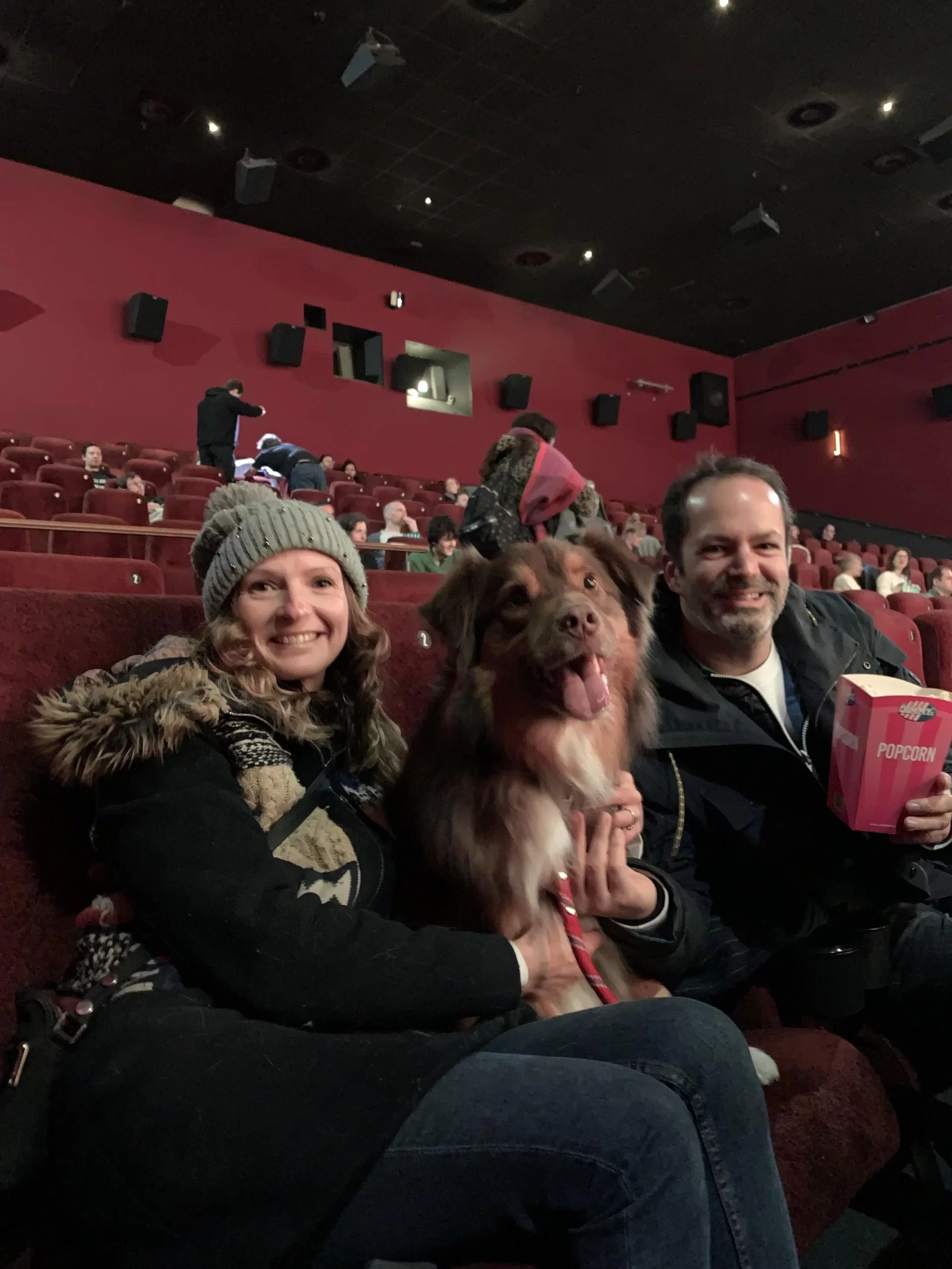 notre chien au cinema a londres