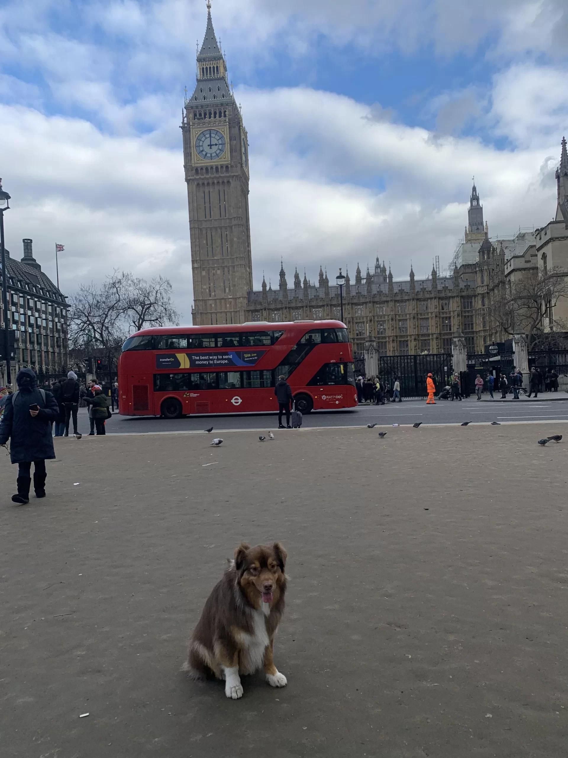 notre chien devant big ben