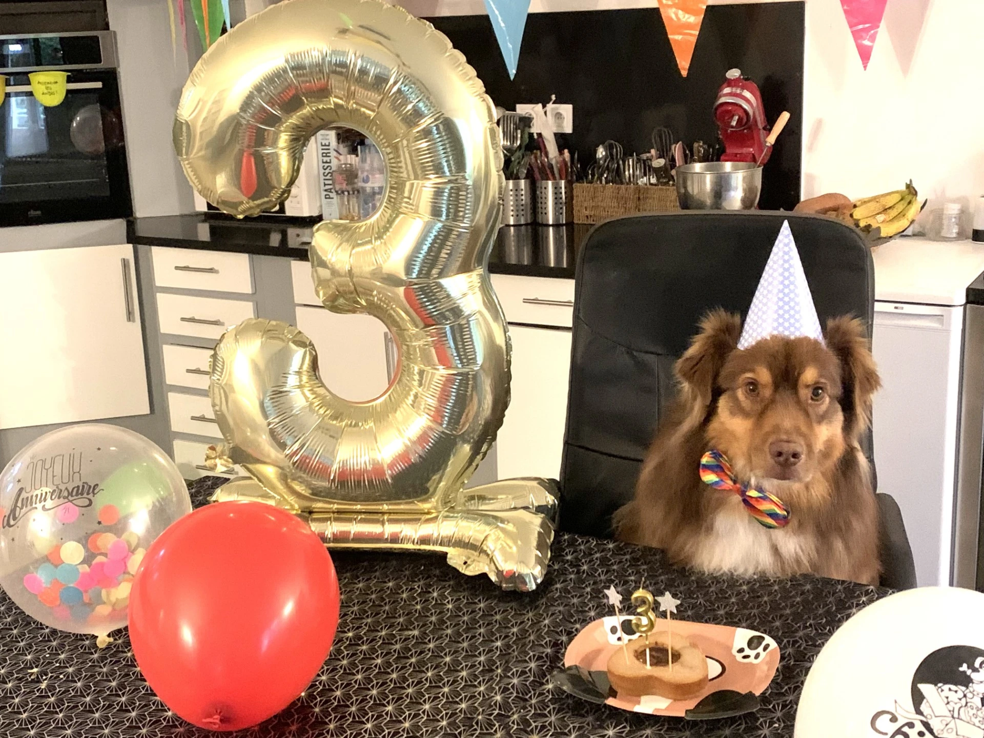 Pack déco anniversaire chien - 1 nœud papillon multicolore - 1 chapeau cône  - 1 assiette chien - 6 ballons dont 2 inscriptions Joyeux Anniversaire - 1  banderole fanion 10 m - 1 banderole Joyeux Anniversaire - 1 ballon géant  chiffre à poser sur la table