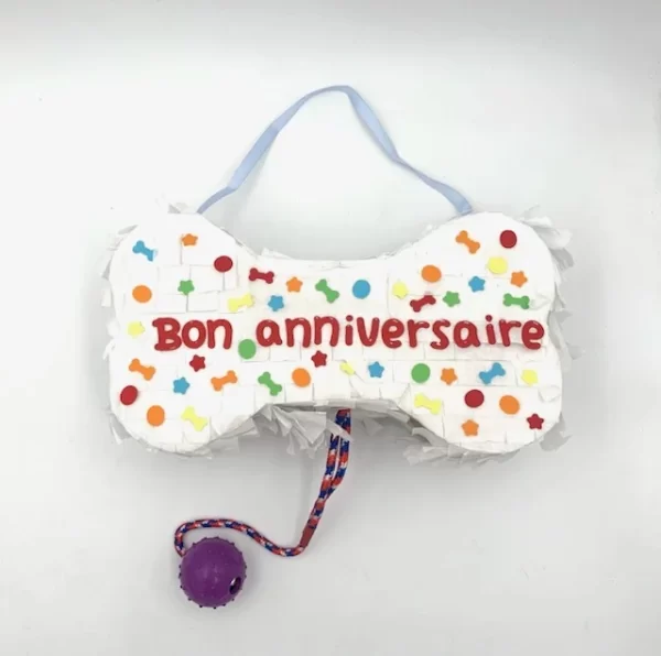 tres jolie pinata de marque chijiwi pour chien